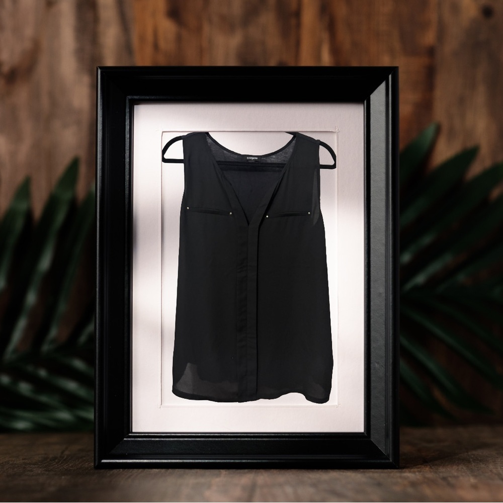 BOGO! Express Semi-Sheer V-Neck Top